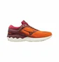 Кроссовки мужские Mizuno Wave Skyrise Orange/Bordo J1GC200965