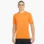 Футболка мужская Nike Dri-Fit Orange AR6029-886