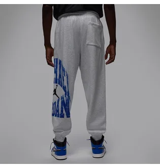 Штаны мужские Air Jordan Brk Cllgte Hbr Grey HV0091-051