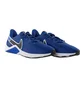 Кроссовки мужские Nike Legend Essential 2 Blue CQ9356-400