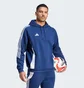 Худи мужское Adidas Tiro 24 Sweat Hoodie Blue IR7546