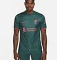 Футболка чоловіча Nike Lfc M Nk Df Stad Jsy Ss 3R 2022/23 Green Dm1835-377