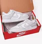Кроссовки женские Nike Dunk Low White/Grey DD1503-103