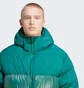 Пуховик чоловічий Adidas Adicolor Down Regen Hooded Puffer Jacket Green IL2566