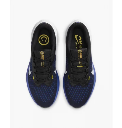 Кроссовки мужские Nike Winflo 10 Blue DV4022-005