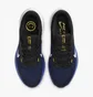 Кроссовки мужские Nike Winflo 10 Blue DV4022-005