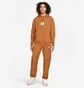 Худи мужское Air Jordan M J Ess Stmt Flc Po Orange DA9816-241