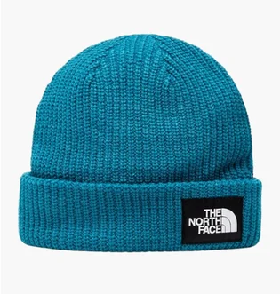 Шапка унисекс The North Face Salty Dog Blue NF0A3FJW2W9