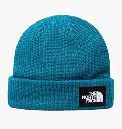 Шапка унисекс The North Face Salty Dog Blue NF0A3FJW2W9