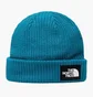 Шапка унисекс The North Face Salty Dog Blue NF0A3FJW2W9