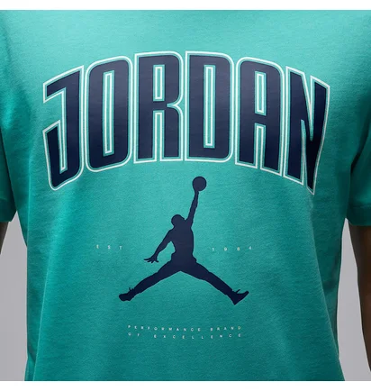 Футболка мужская Air Jordan J City 88 Ss Crew Turquoise HQ0009-392
