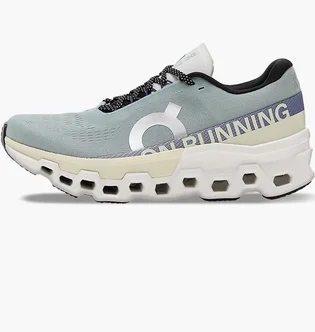Кросівки чоловічі On M Cloudmonster 2 Grey 3ME10122078