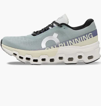 Кросівки чоловічі On M Cloudmonster 2 Grey 3ME10122078