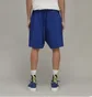 Шорты мужские Adidas Y-3 Organic Cotton Terry Shorts Blue IB4797