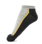 Шкарпетки унісекс HEAD Stripe Sneaker Grey/Black (2 пари) 781008001-235