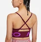 Топ женский Nike W Indy Pro Cn Long Line Bra Bordo Ct3764-638