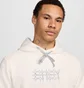 Худі чоловіче Nike Kd Dri-Fit Standard Issue Basketball Hoodie Beige FN7380-133