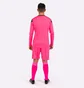 Спортивний костюм чоловічий Joma Phoenix Gk Pink 102858.031