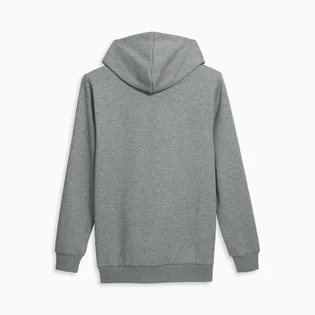 Худи мужское Puma Big Cat Logo Grey 672712-03