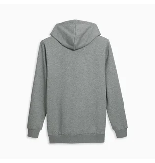 Худі чоловіче Puma Big Cat Logo Grey 672712-03