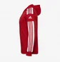 Худі чоловіче Adidas Squadra 21 Hoodie Red GP6435