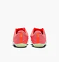 Кроссовки мужские Nike Air Zoom Maxfly 2 Red FD8395-600