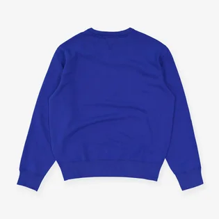 Свитшот мужской Ralph Lauren Polo Fleece Logo Sweatshirt Blue 710890191003