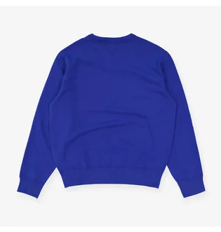 Свитшот мужской Ralph Lauren Polo Fleece Logo Sweatshirt Blue 710890191003
