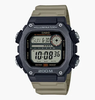 Часы мужские Casio Timeless Collection DW-291HX-5A