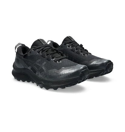 Кроссовки женские Asics Gel Trabuco 12 Gore-Tex Black 1012B607-002