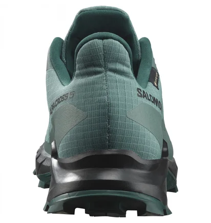 Кросівки жіночі Salomon Alphacross 5 Gtx Blue L47595000