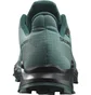 Кросівки жіночі Salomon Alphacross 5 Gtx Blue L47595000