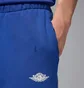 Шорти чоловічі Air Jordan Rare Air Blue IF1411-470