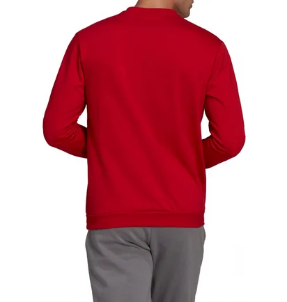 Свитшот мужской Adidas Sweatshirt Ent22 Sw Top Red HB0577