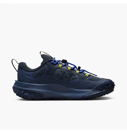 Кроссовки мужские Nike Acg Mountain Fly 2 Low Gore-Tex Blue HF6245-400