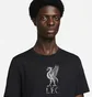 Футболка чоловіча Nike Liverpool Fc Black DM3482-013