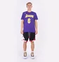 Футболка мужская Nike Nba Los Angeles Lakers Statement Edition Lebron James Violet CV9986-557