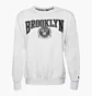 Свитшот мужской Nike Bkn M Nk Flc Crew Cts 75 Nba White DJ2795-051