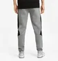 Штаны мужские Puma Evostripe Grey 585814-03