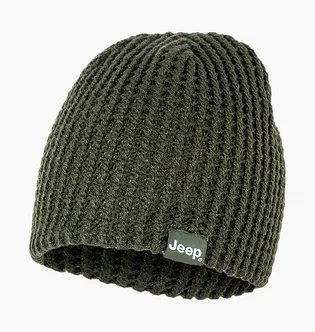 Шапка унисекс Jeep Reversible Tricot Hat J22W Green O102597-E844
