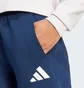 Штаны женские Adidas Poland Future Icons Blue JF9047