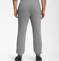 Штаны мужские The North Face Pants Grey NF0A7UODGAZ