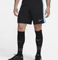 Шорты мужские Nike Dri-Fit Academy Black Dv9742-013