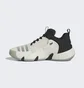 Кроссовки унисекс Adidas Trae Unlimited Shoes White/Black IF5609