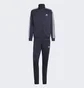 Спортивний костюм чоловічий Adidas Sportswear Basic 3-Stripes Tricot Track Suit Blue Hz2220