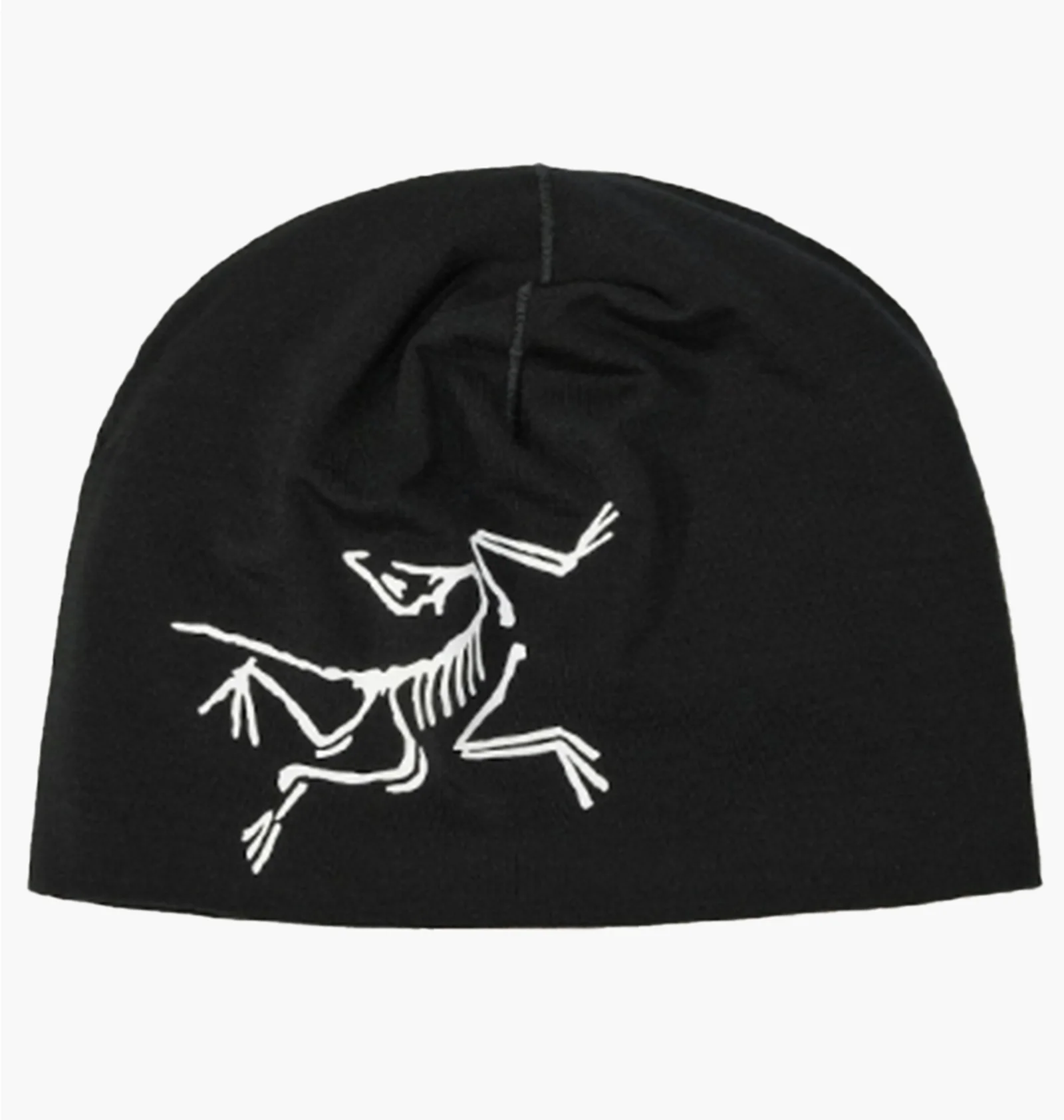 ᐉ Шапка мужская Arc'teryx Satoro Merino Toque Black X000009936