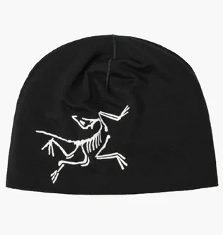 Шапка мужская Arc'teryx Satoro Merino Toque Black X000009936