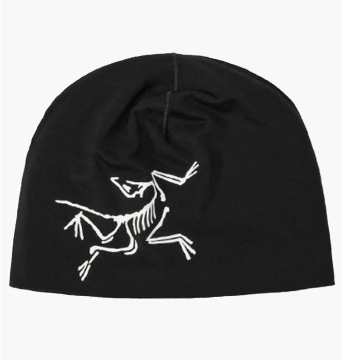 Шапка мужская Arc'teryx Satoro Merino Toque Black X000009936