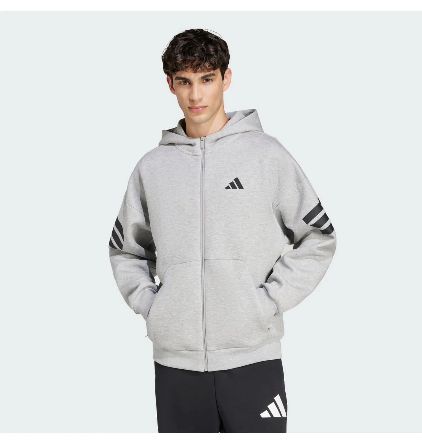 ᐉ Толстовка чоловіча Adidas Future Icons 3-Stripes Full-Zip Grey