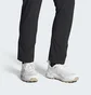 Кроссовки мужские Adidas Terrex Ax4 C Beige HQ9022